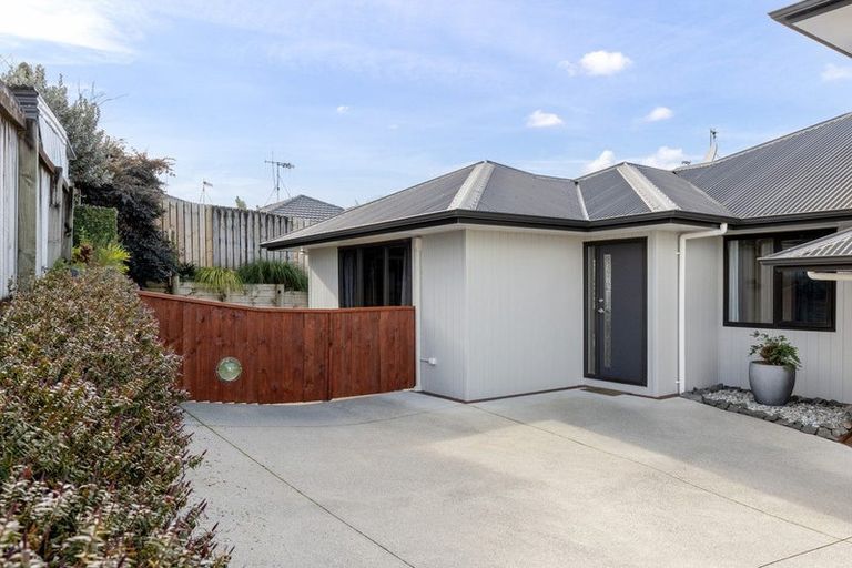 Photo of property in 20a Lincoln Terrace, Gate Pa, Tauranga, 3112