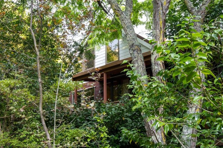 Photo of property in 45 Reeve Drive, Havelock North, 4130