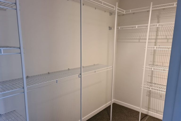 Photo of property in 19 Jude Way, Brookfield, Tauranga, 3110