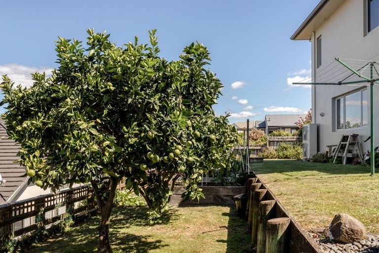 Photo of property in 55 Hamurana Road, Omokoroa, 3114