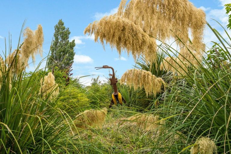 Photo of property in 251 Coast Road, Warrington, Waikouaiti, 9471