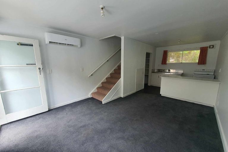 Photo of property in 142 Aro Street, Aro Valley, Wellington, 6021