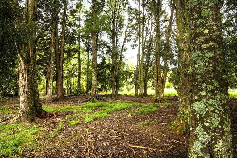 Photo of property in 77 Harris Road, Glenbervie, Whangarei, 0175