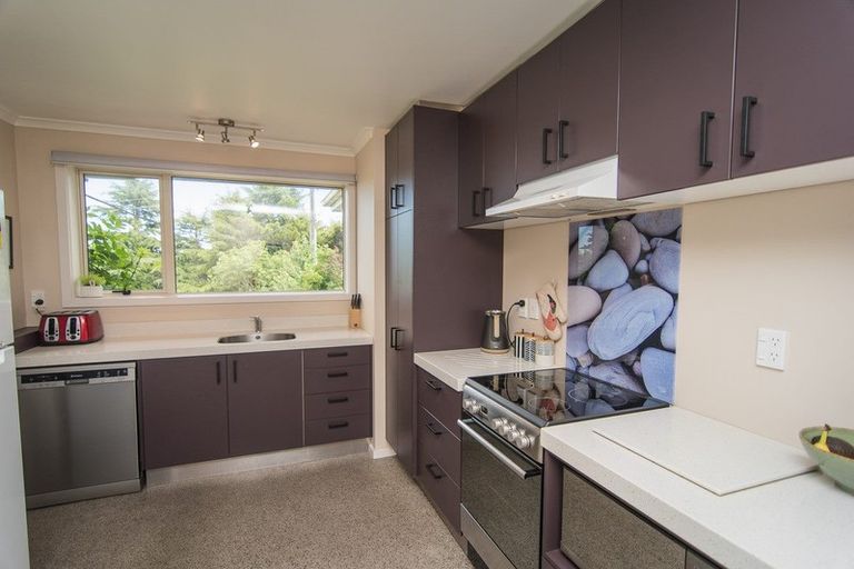 Photo of property in 35 Essex Street, Marchwiel, Timaru, 7910