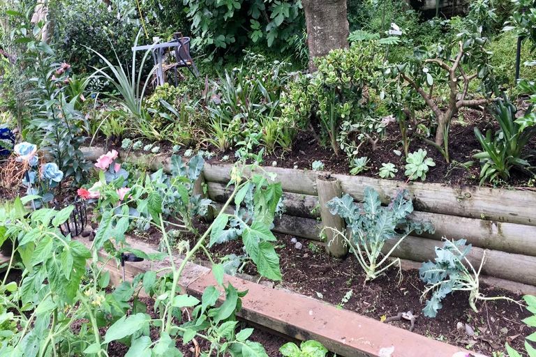 Photo of property in 87 Raumanga Valley Road, Raumanga, Whangarei, 0110