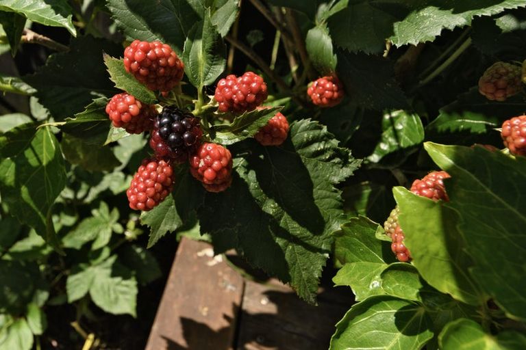 Photo of property in 411b Ngatai Road, Bellevue, Tauranga, 3110