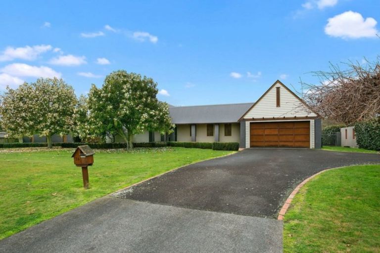 Photo of property in 24 Cowley Drive, Leamington, Cambridge, 3432