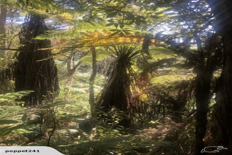 Photo of property in 31 Raglan Road, Kawhia, 3878