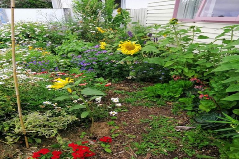 Photo of property in 18 Buckley Road, Southgate, Wellington, 6023