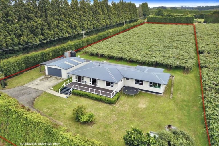 Photo of property in 882 Te Matai Road, Te Ranga, Te Puke, 3188