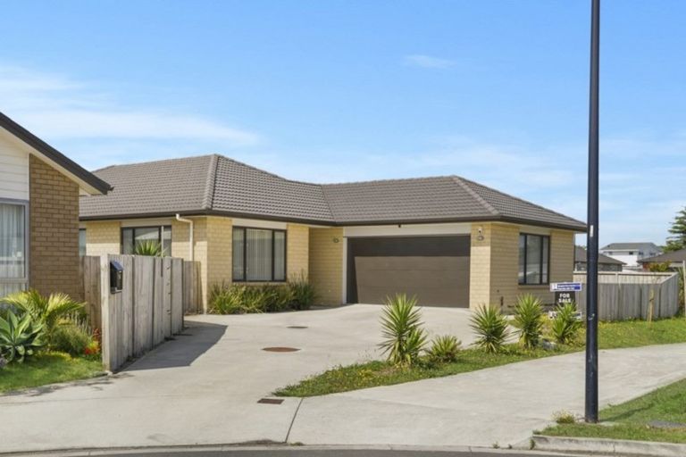Photo of property in 38 Wellfield Drive, Papakura, 2110