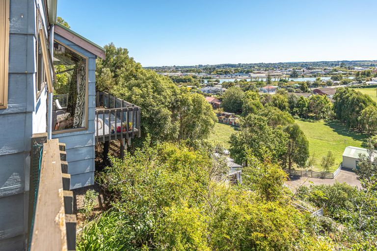 Photo of property in 14 Ngatarua Road, Putiki, Whanganui, 4500