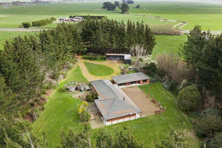 Photo of property in 1351 Rongotea Road, Kairanga, Palmerston North, 4475