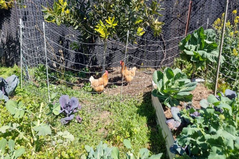 Photo of property in 1d Dodson Road, Takaka, 7110