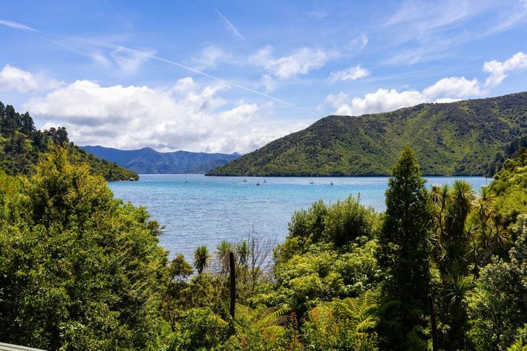 Photo of property in 19 Mccormicks Road, Whatamango Bay, Picton, 7281