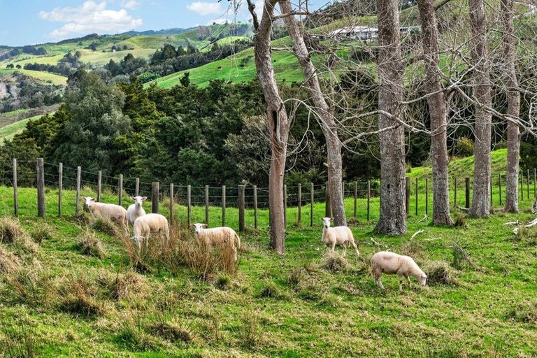Photo of property in 63 Porter Road, Paparoa, 0571