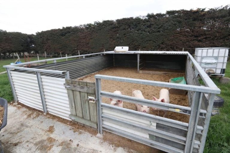 Photo of property in 18 Thews Road, Tinwald, Ashburton, 7778