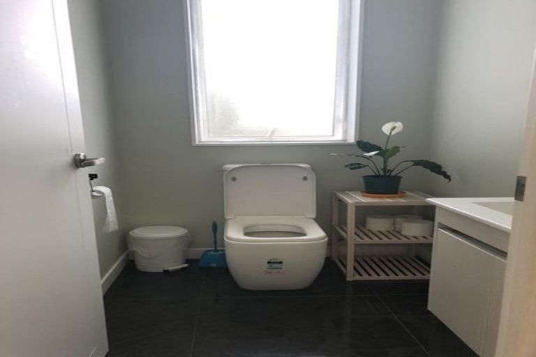 Photo of property in 32a Coronation Road, Hillcrest, Auckland, 0627