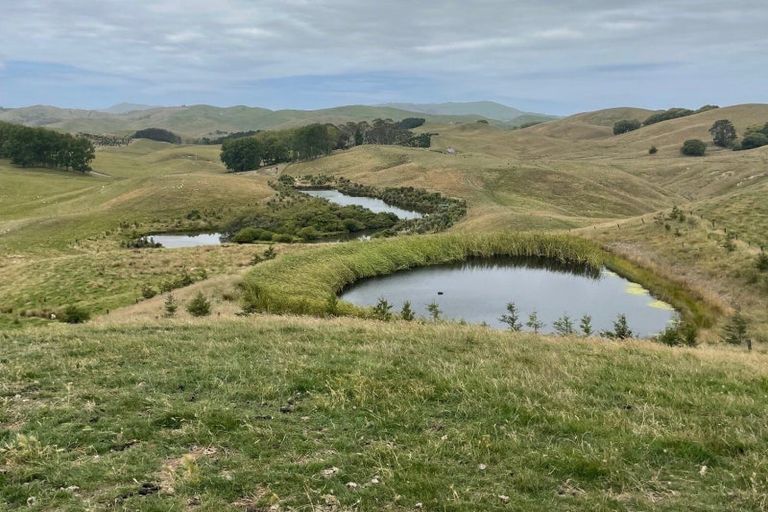 Photo of property in 300 Pattison Road, Akina, Hastings, 4122