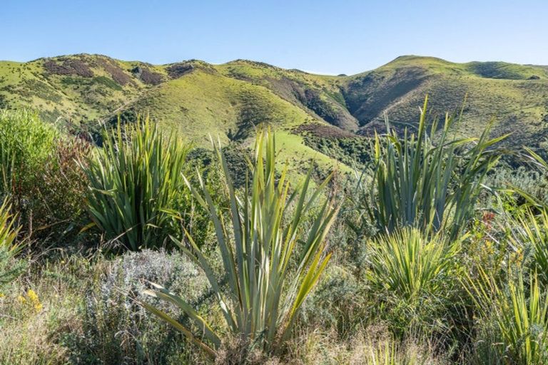 Photo of property in 165 Ashley Gorge Road, Starvation Hill, Oxford, 7495