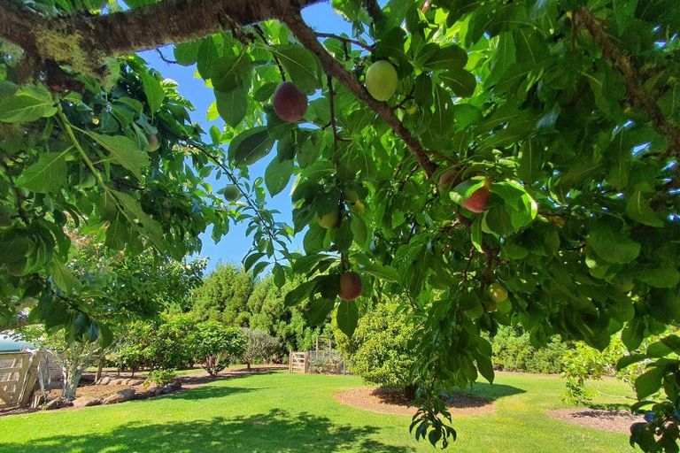 Photo of property in 12 Keridale Lane, Kerikeri, 0230