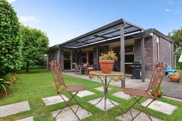 Photo of property in 47f Naylor Street, Hamilton East, Hamilton, 3216