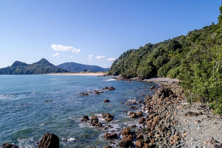 Photo of property in 160 Pumpkin Hill Road, Pumpkin Hill, Whitianga, 3591