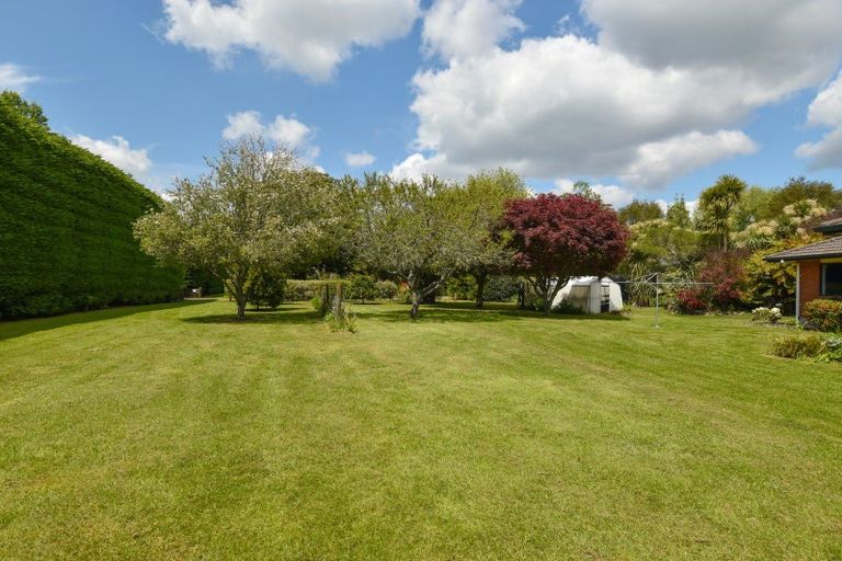 Photo of property in 1156 Braemar Road, Rotoma, Whakatane, 3192