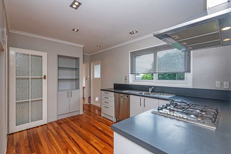 Photo of property in 95 Dittmer Drive, West End, Palmerston North, 4412