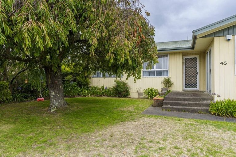 Photo of property in 45 Caernarvon Drive, Flaxmere, Hastings, 4120