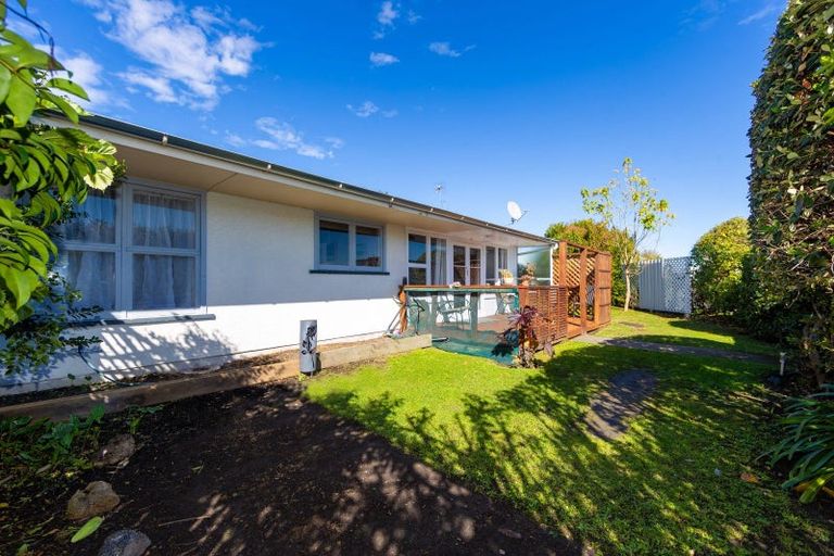 Photo of property in 196b Nikau Street, Saint Leonards, Hastings, 4120