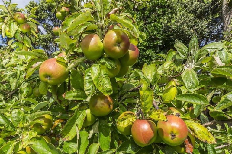 Photo of property in 39 Cluny Road, Plimmerton, Porirua, 5026