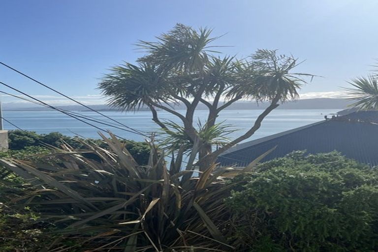 Photo of property in 23cu1 Maida Vale Road, Roseneath, Wellington, 6011