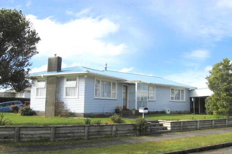 Photo of property in 43 Antonio Street, Stratford, 4332