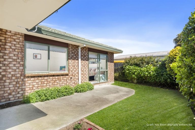 Photo of property in 49c Coopers Road, Gate Pa, Tauranga, 3112