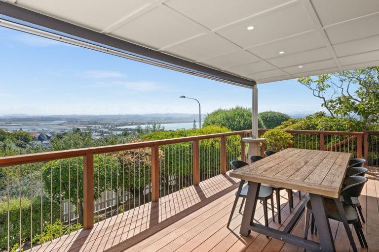 Photo of property in 1 Roslyn Road, Bluff Hill, Napier, 4110