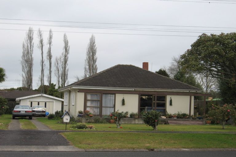 Photo of property in 16 Bettina Road, Fairfield, Hamilton, 3214