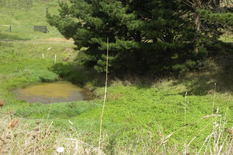 Photo of property in 7 Maungatawhiri Road, Raglan, 3295