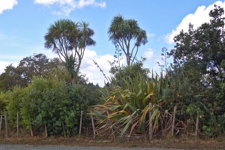 Photo of property in 126 Oneriri Road, Kaiwaka, 0573