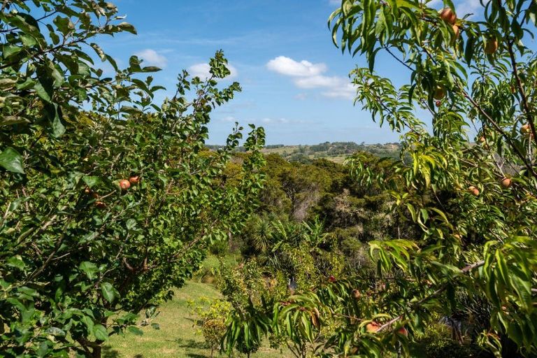 Photo of property in 205 Takahoa Drive, Kaiwaka, 0573