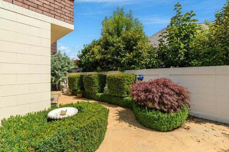 Photo of property in 55 Waratah Street, Matua, Tauranga, 3110