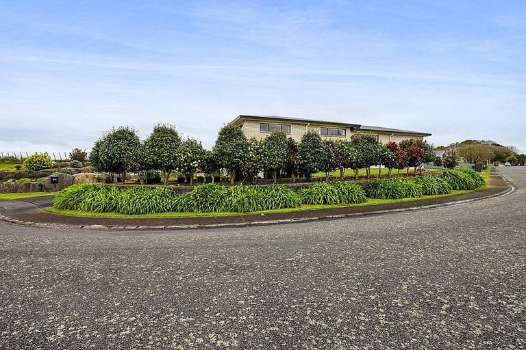 Photo of property in 20 Chartwell Drive, Eltham, 4322