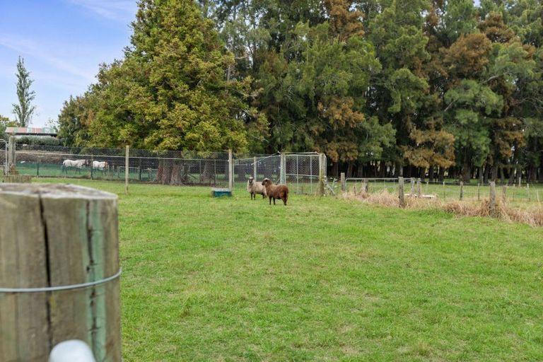 Photo of property in 141 Centennial Avenue, Te Aroha, 3392