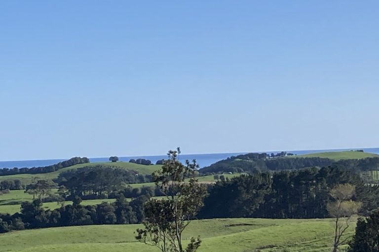 Photo of property in 41a Wharekauri Road, Mimi, Urenui, 4377