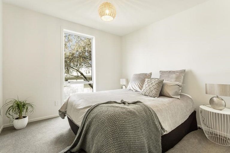 Photo of property in 50 Hawthorn Avenue, Mornington, Dunedin, 9011