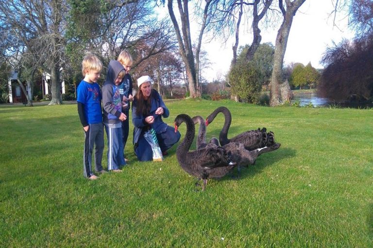 Photo of property in 1420 Hamurana Road, Mourea, Rotorua, 3074