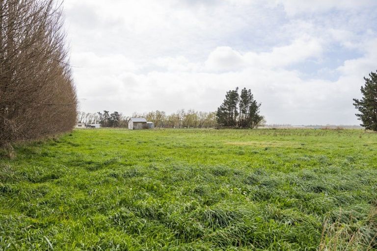 Photo of property in 1351 Rongotea Road, Kairanga, Palmerston North, 4475