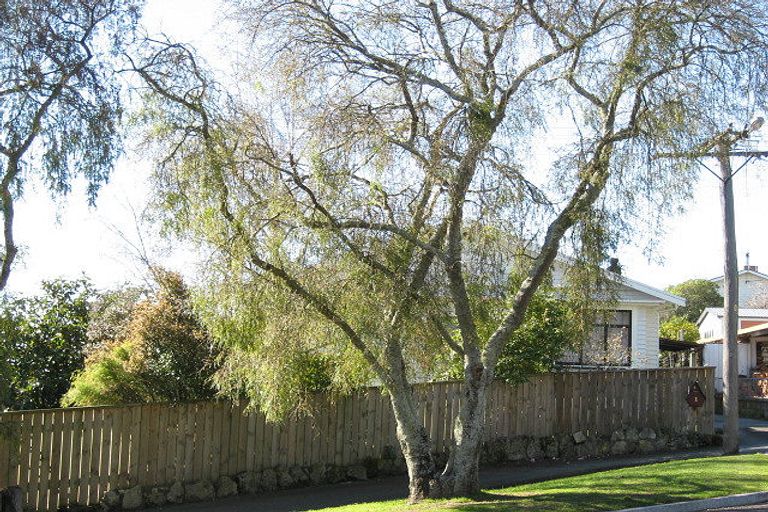 Photo of property in 1 Kitchener Street, Waipukurau, 4200