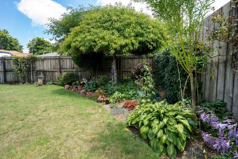 Photo of property in 6 Alley Place, Leamington, Cambridge, 3432