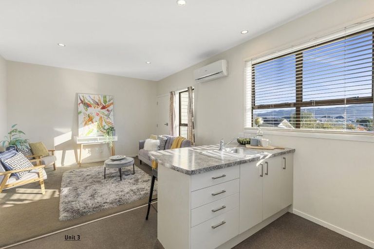 Photo of property in 3/33 Tory Street, Petone, Lower Hutt, 5012